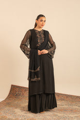 1 Piece Chiffon Embroidered Dupatta (FD0002)